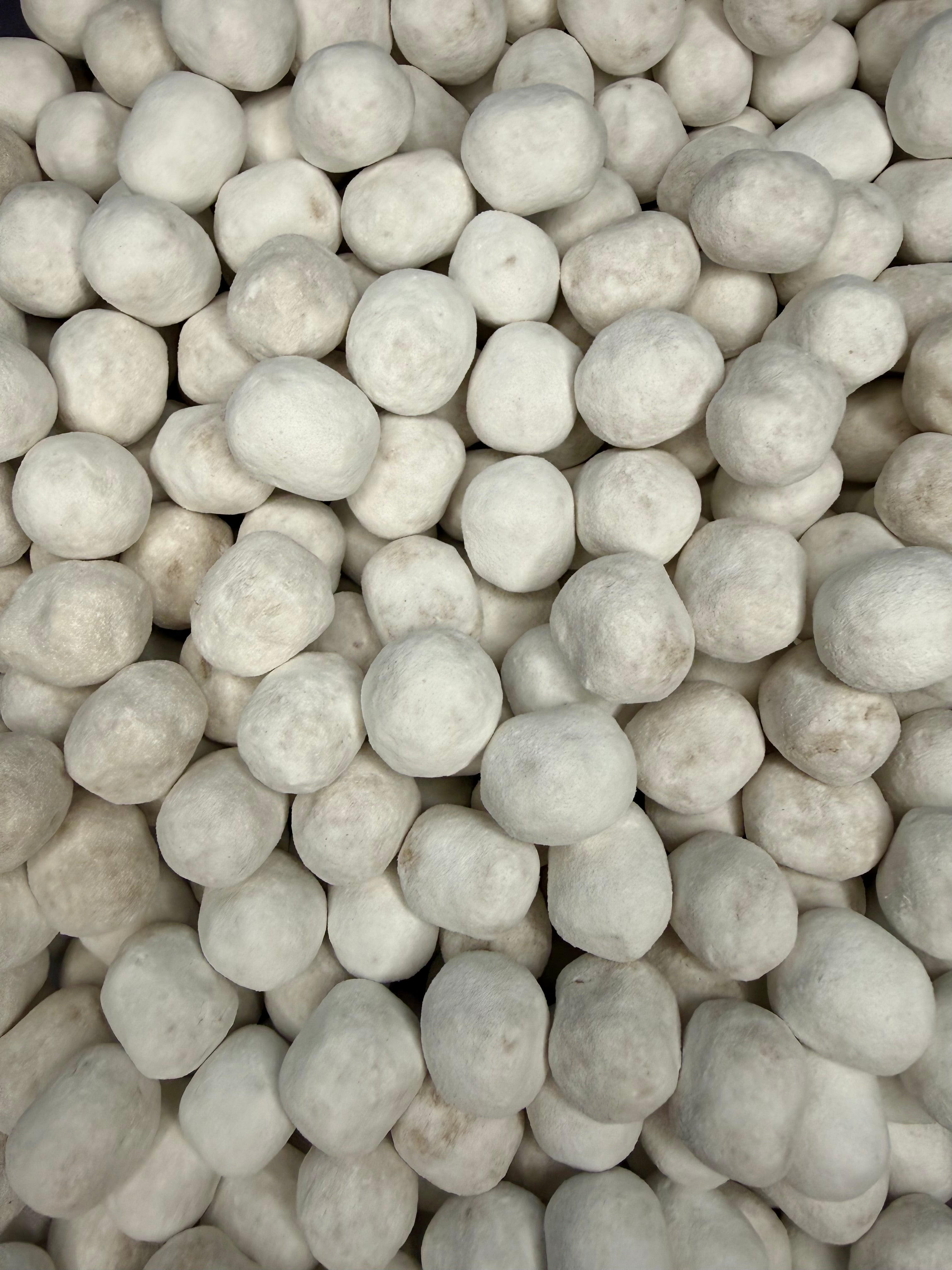 Boule neige caramel par 20